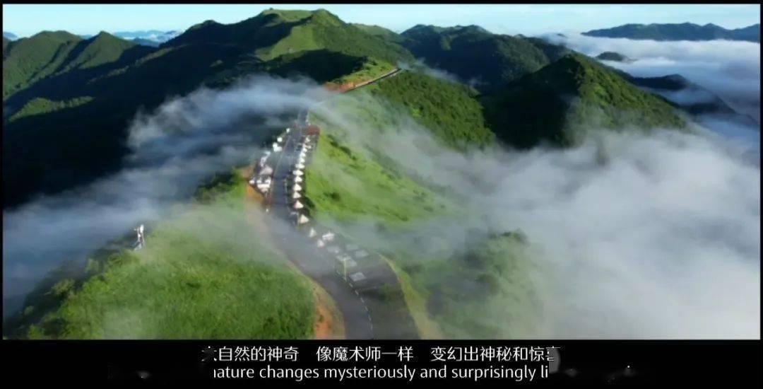 算术24点