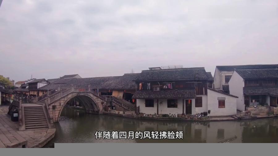 亲爱的金主大人