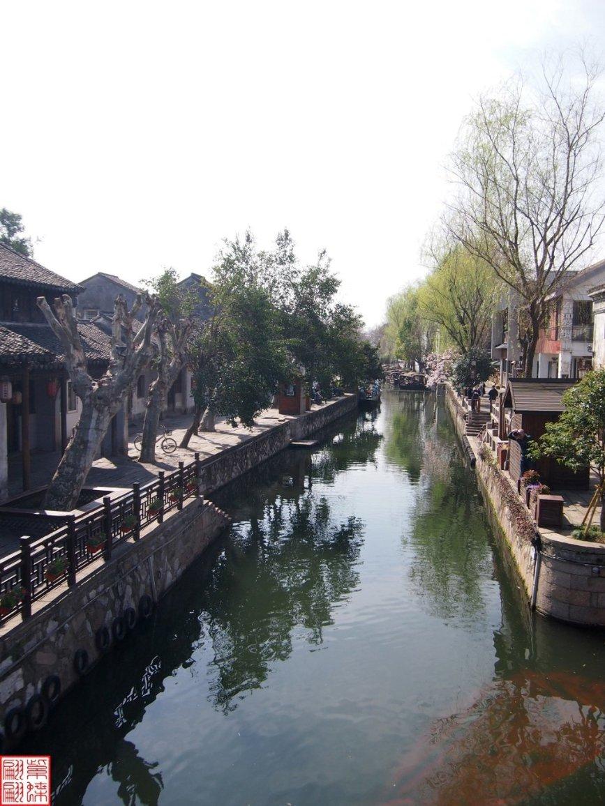 逃离仿真森林
